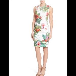Elie Tahari Weslee Dress